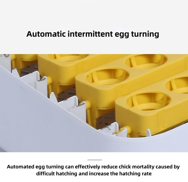 Automatic Mini Egg Incubator for 56 Chicken Eggs - Digital Temperature Control with Built-in Egg Tester - Portable Poultry Hatching Machine (White) - Perfect for Home Farms, Classroom Projects & Backyard Chicken Breeding