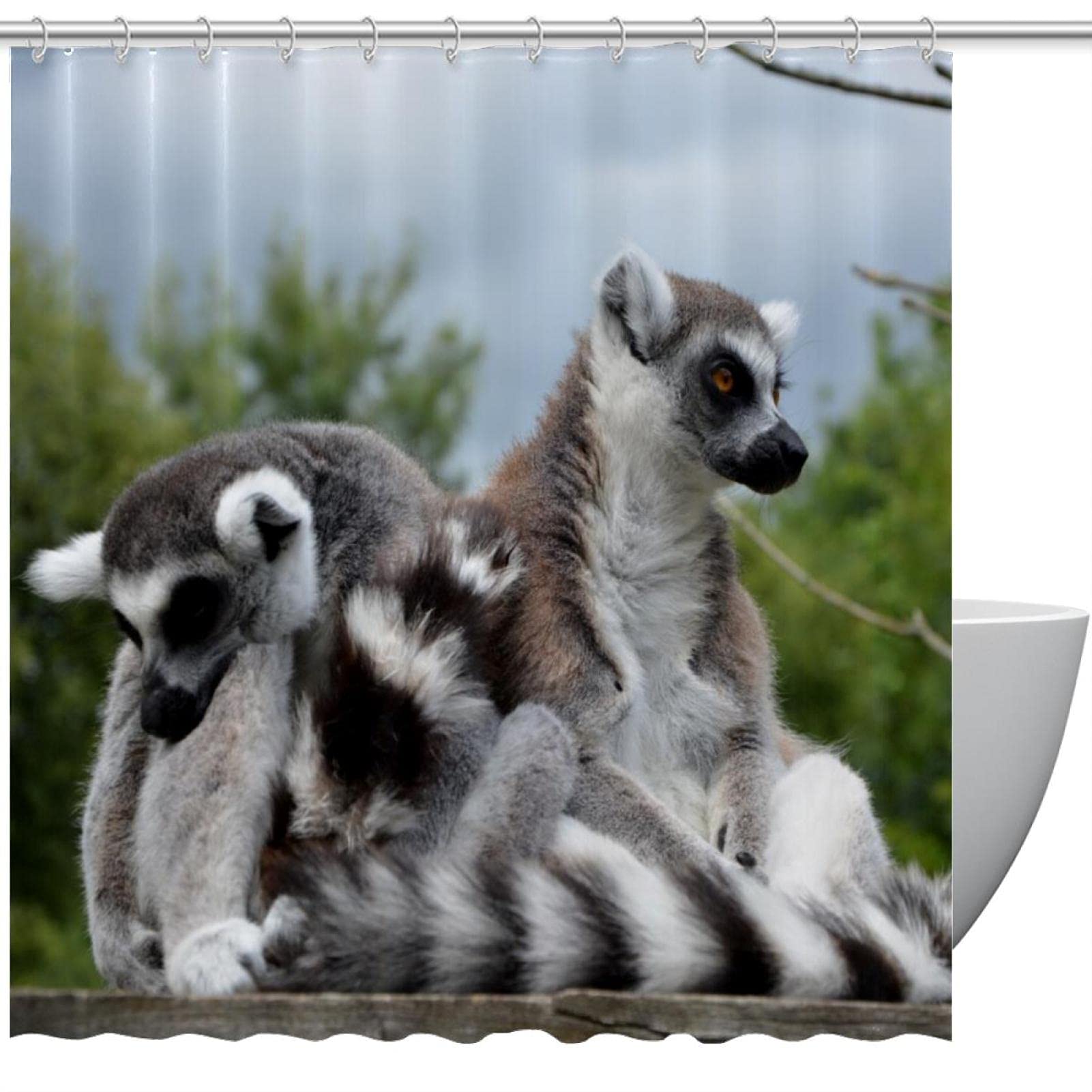 HEOEH Lemurs Together Waterproof Polyester Shower Curtain - 66 x 72 Inches, Bathroom Decor for Bathtub & Shower - Perfect for Kids' Rooms, Jungle Theme Bathrooms & Tropical Home Decor