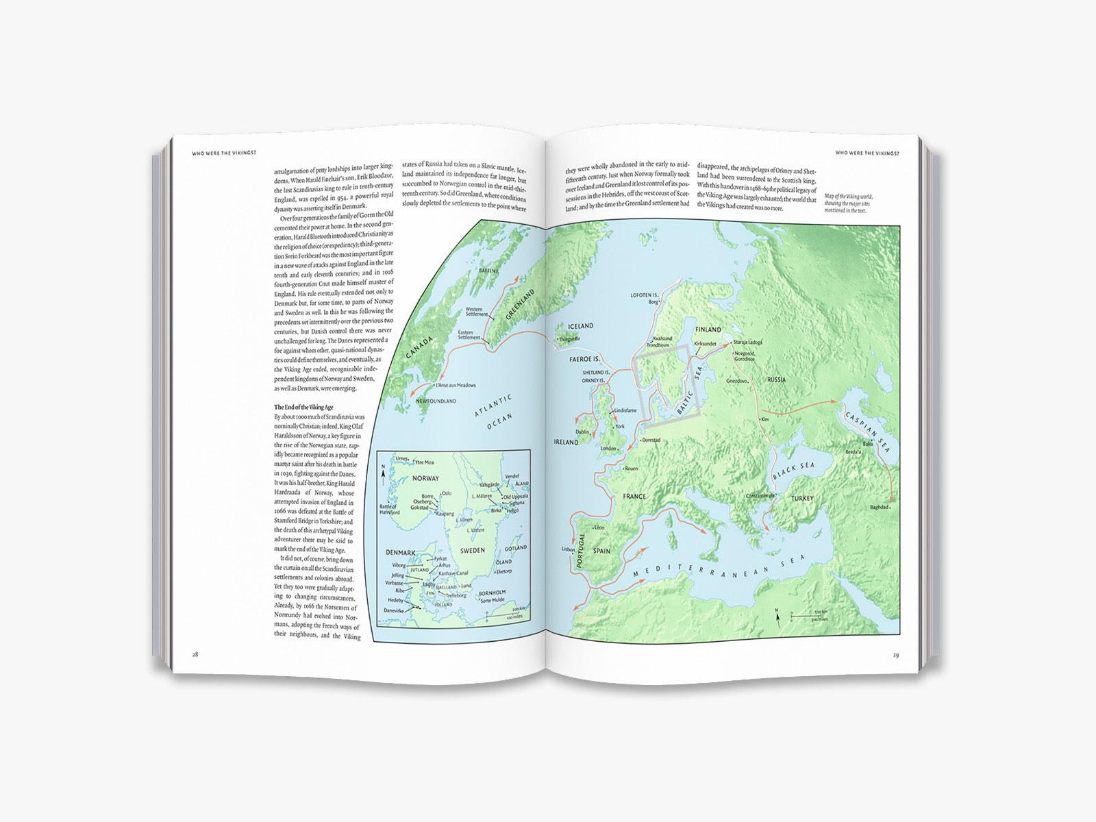 Viking History & Culture Books - Explore Norse Mythology, Warriors & Sagas | Perfect for History Buffs & Viking Enthusiasts