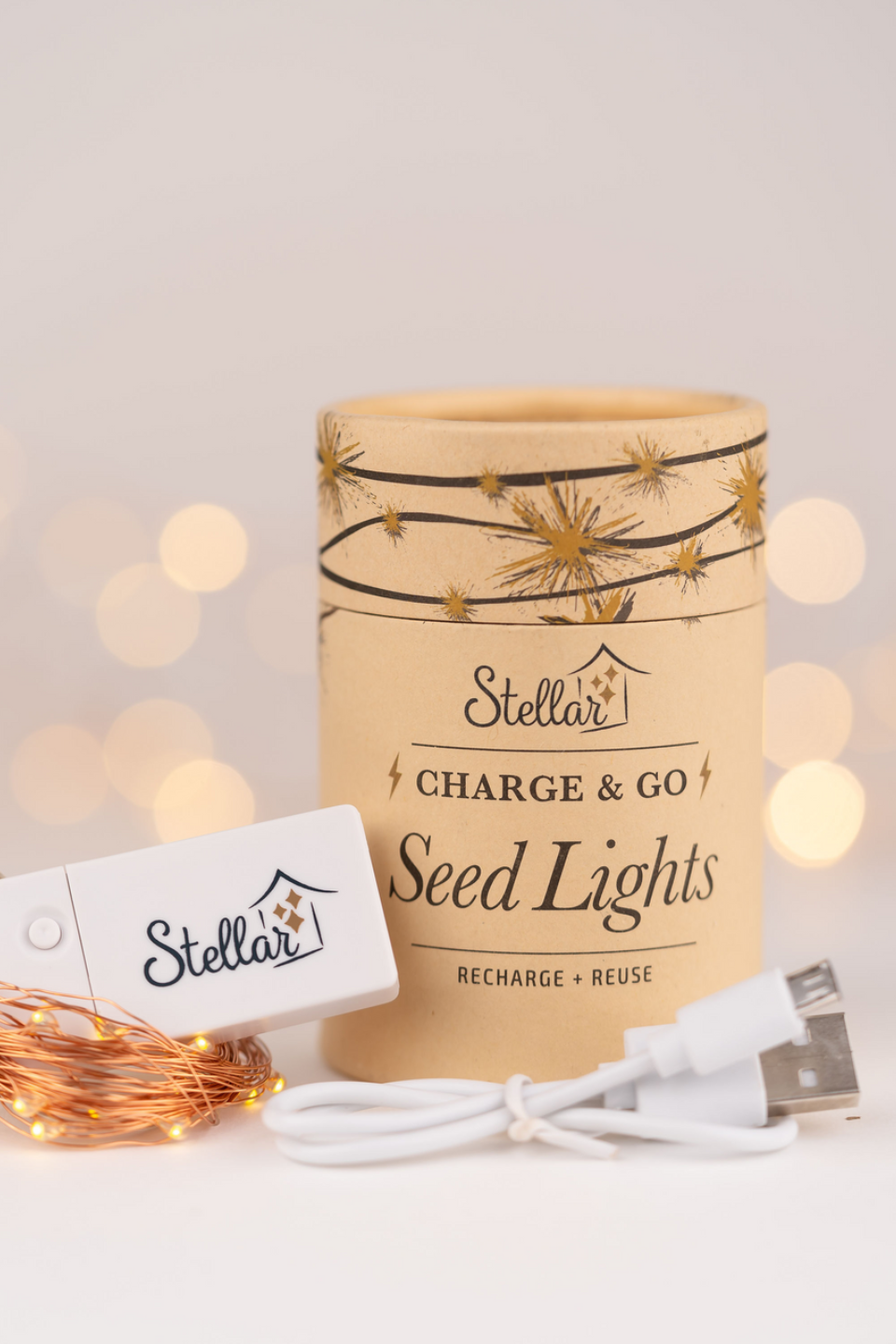 Rechargeable 3m Silver Warm White LED String Seed Lights - Perfect for Indoor/Outdoor Garden, Wedding, Party & Home Decor