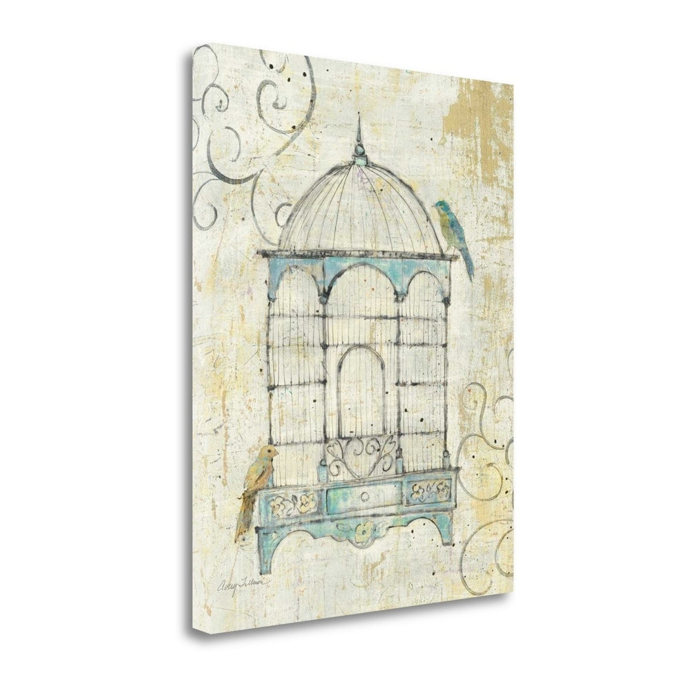 Avery Tillmon Bird Cage IV - Fine Art Giclee Print on Gallery Wrap Canvas, Ready to Hang Wall Decor - Perfect for Living Room, Bedroom & Office Artwork