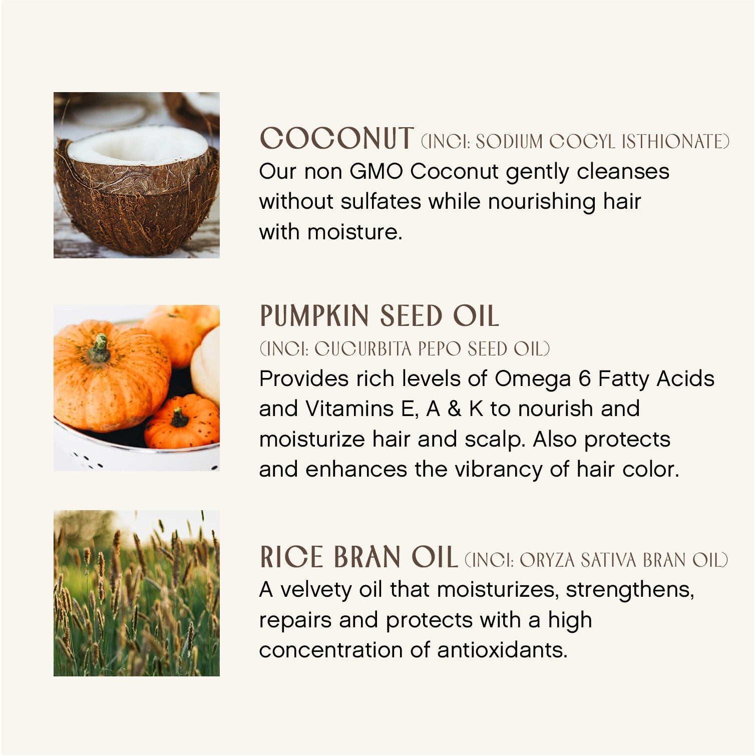 Bright Balance Conditioner for Shiny, Healthy Hair - Hydrating & Repairing Formula for Daily Use at Home or Salon
