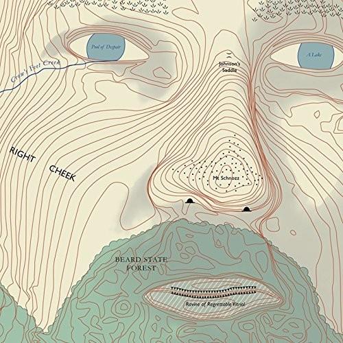 Absolute Truth Vinyl LP Record - High-Quality Music Album for Audiophiles & Collectors | Perfect for Home Listening, Gifts & Music Enthusiasts