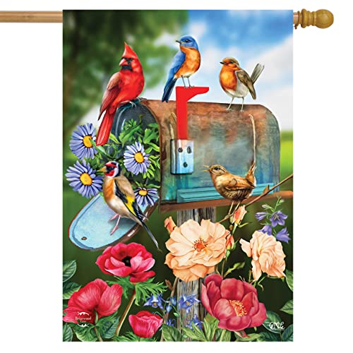 16 - Birds & Mailbox