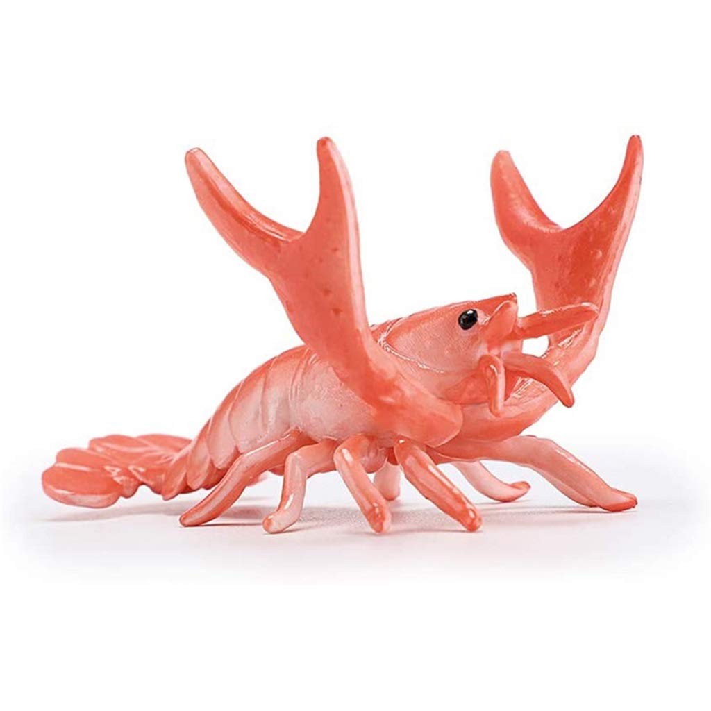 ADKHF Creative Cute Lobster Pen Holder - Weightlifting Lobster Desk Organizer for Pens, Pencils & Stationery - Unique Office Gift (Red) - Perfect for Home, Office & School Workspace Organization
