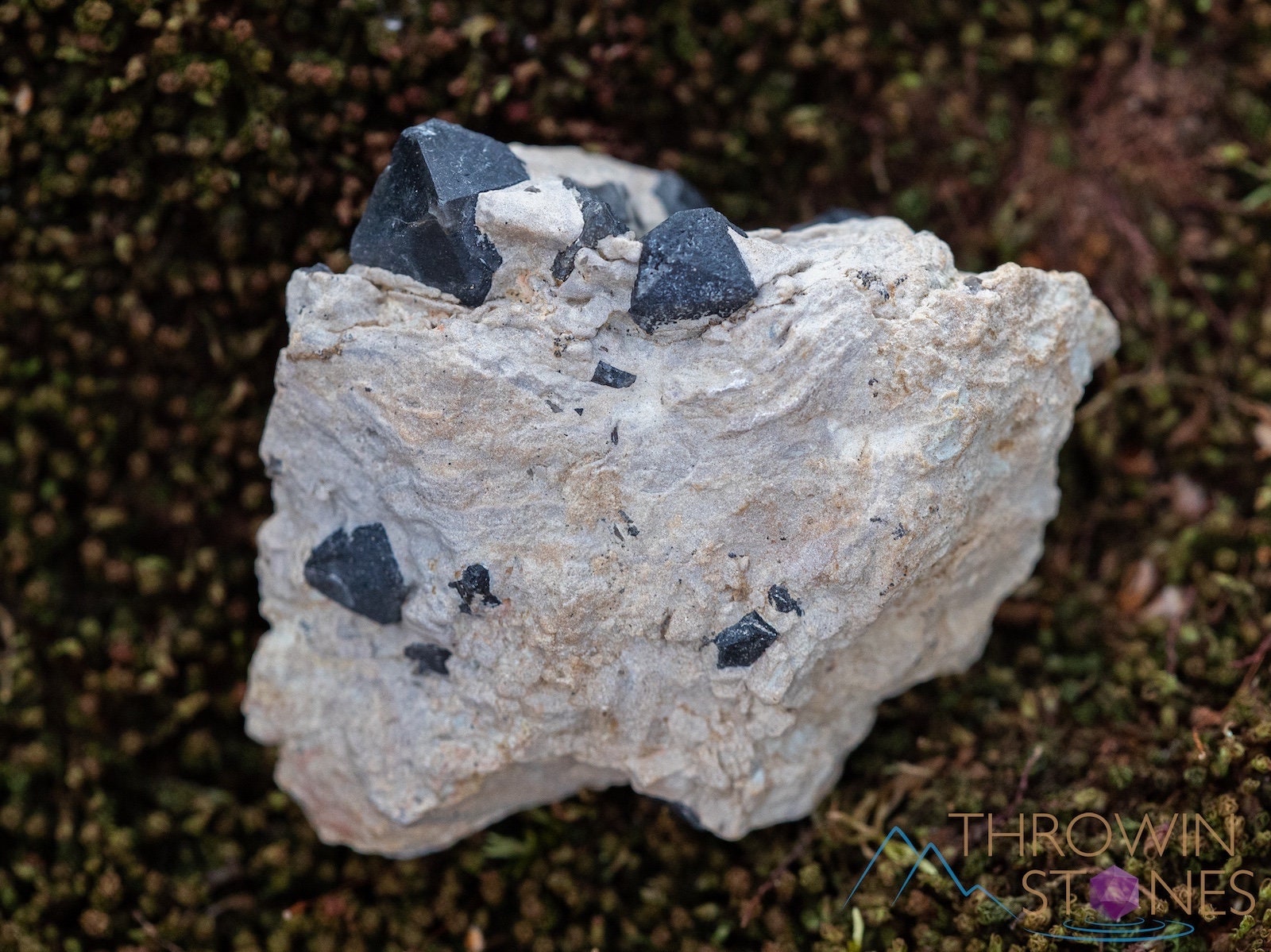 Natural MORION SMOKY QUARTZ Raw Crystal Cluster - Healing Stone for Home Decor, Housewarming Gift & Energy Healing (39865) | Perfect for Meditation, Feng Shui & Spiritual Practices
