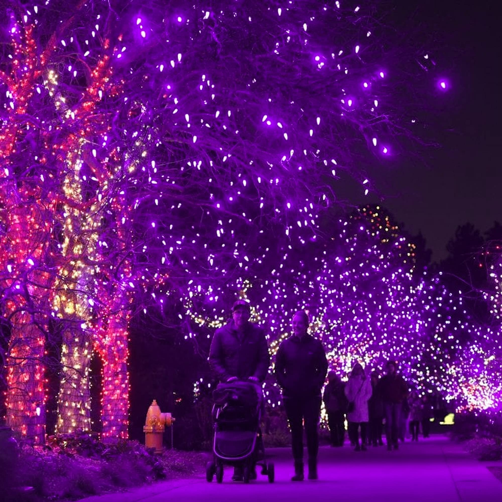 DAZZLE BRIGHT 300 LED Halloween String Lights - 100FT Connectable Outdoor/Indoor Fairy Lights with 8 Lighting Modes | Waterproof Purple Party Decor for Halloween, Garden, Yard, Carnival & Home Decoration - Perfect for Patio, Christmas, Weddings & Special Events