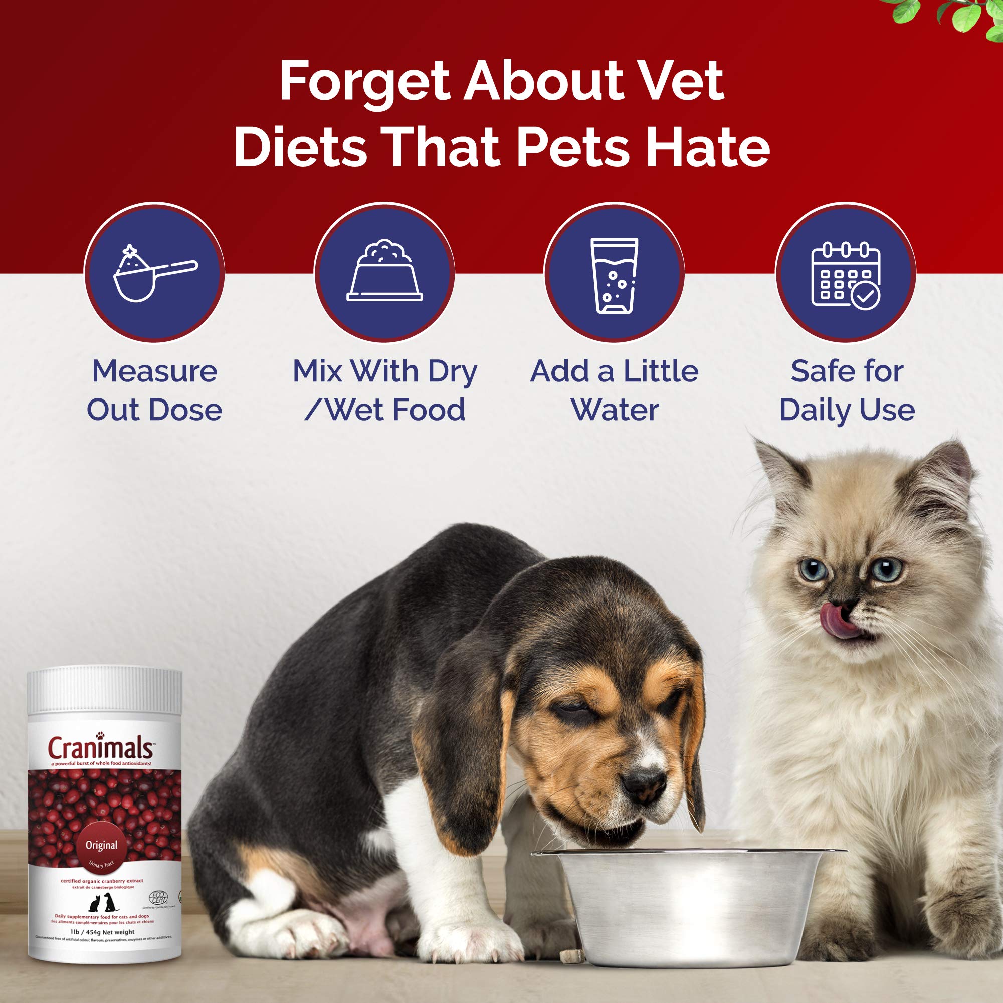Organic Cranberry Powder for Dogs - UTI Supplement & Urinary Tract Health Support (6 Month Supply) - Prevents UTIs, Incontinence & Struvite Stones - Natural Alternative to Antibiotics & Prescription Diets - Vet Recommended for Senior Dogs & Pets with Recurrent Bladder Issues - Perfect for Daily Mixing in Food or Water
