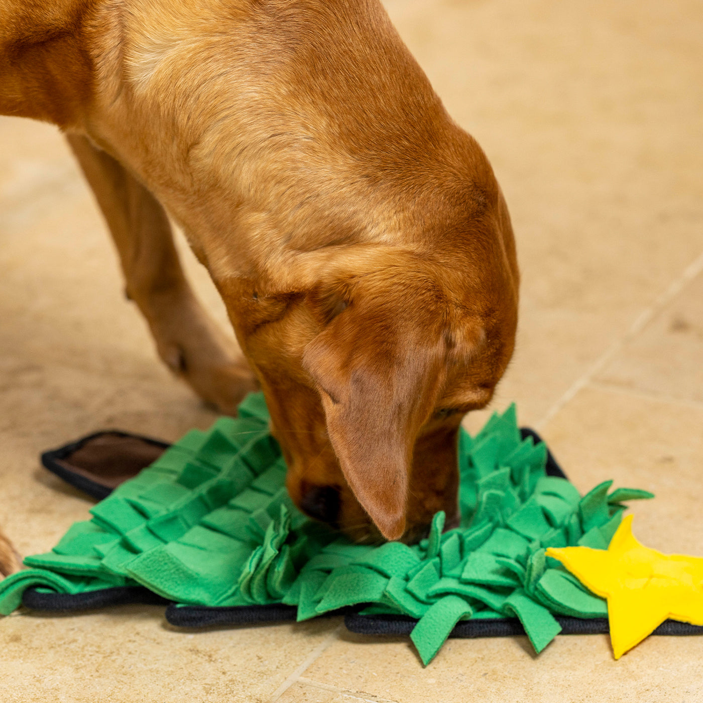 House of Paws Christmas Tree Snuffle Mat - Interactive Dog Puzzle Toy for Mental Stimulation & Treat Hunting - Perfect for Holiday Enrichment & Training (Christmas Gift for Pets)