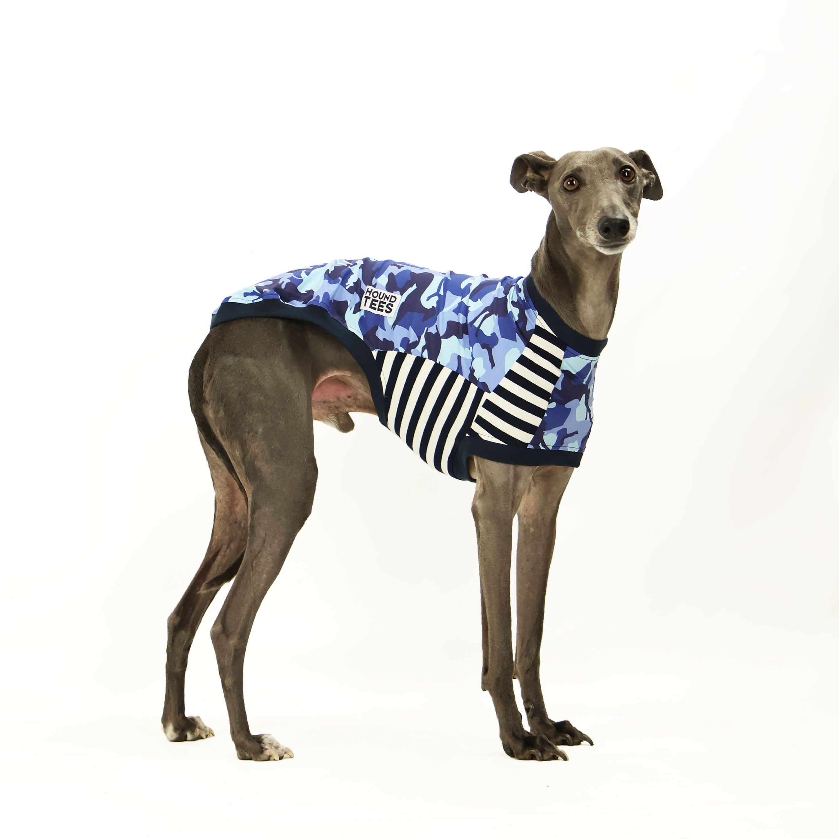 Houndini Blues Whippet Sleeveless Dog T-Shirt - Comfortable Breathable Summer Pet Tee for Small Dogs, Perfect for Outdoor Adventures & Playtime