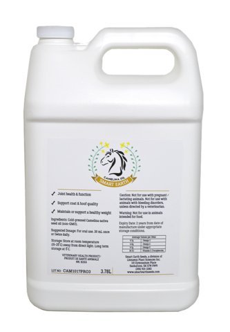 100% Pure Camelina Oil for Horses - Omega 3 & Vitamin E Rich Supplement for Healthy Coat, Strong Hooves, Joint Support & Weight Gain - Cold-Pressed False Flaxseed Oil with Pump - Made in Canada by Smart Earth - 1 Gallon - Perfect for Daily Equine Nutrition & Senior Horse Care