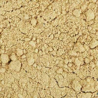 Organic Coriander Powder - 1 Lb Bag | Premium Grade, High Purity, Freshly Packed | Perfect for Cooking, Baking & Seasoning Dishes
