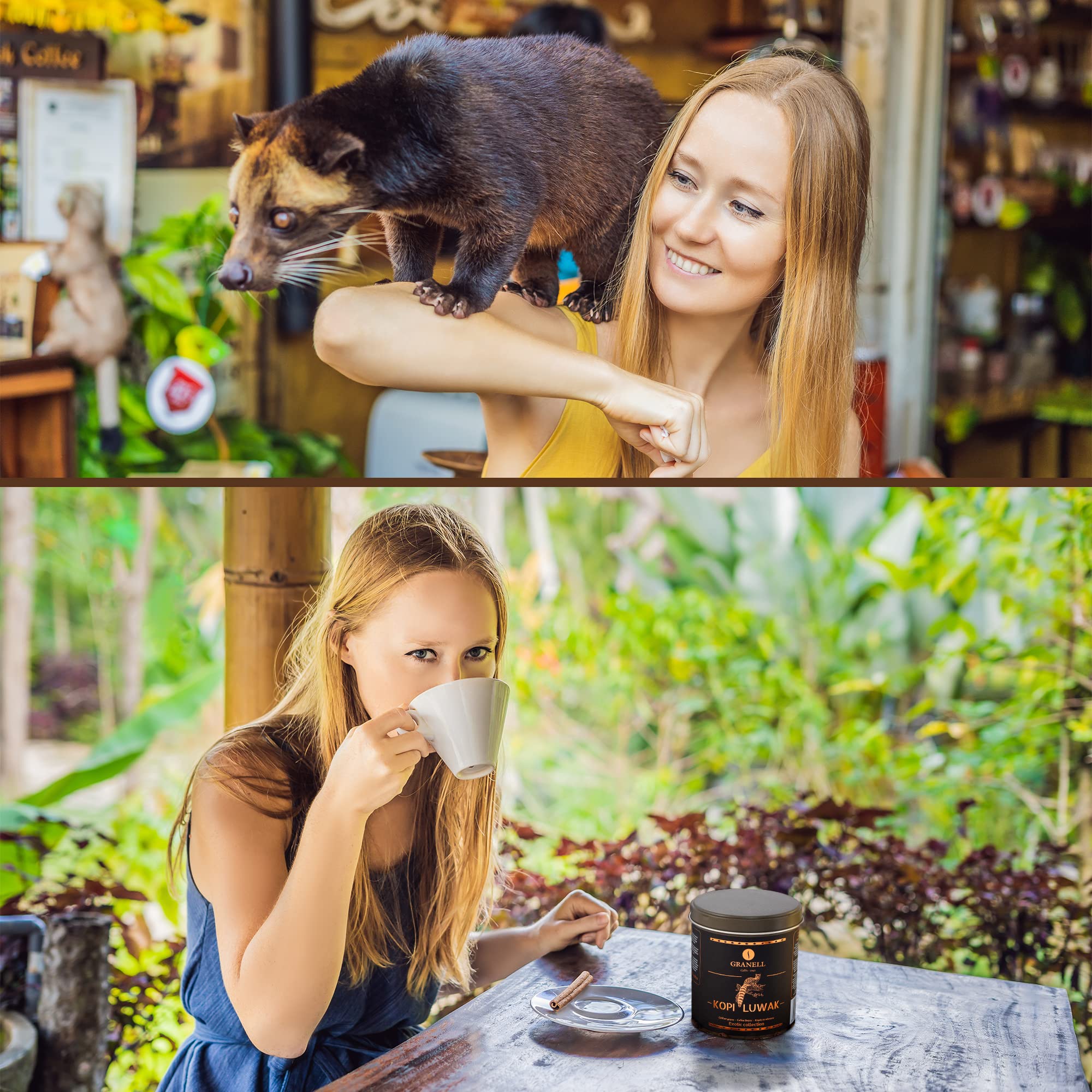 Premium Wild Civet Arabica Coffee Beans - Medium Roast Indonesian Luwak Gourmet Coffee (100g) - Perfect for Gifts, Home Brewing & Special Occasions
