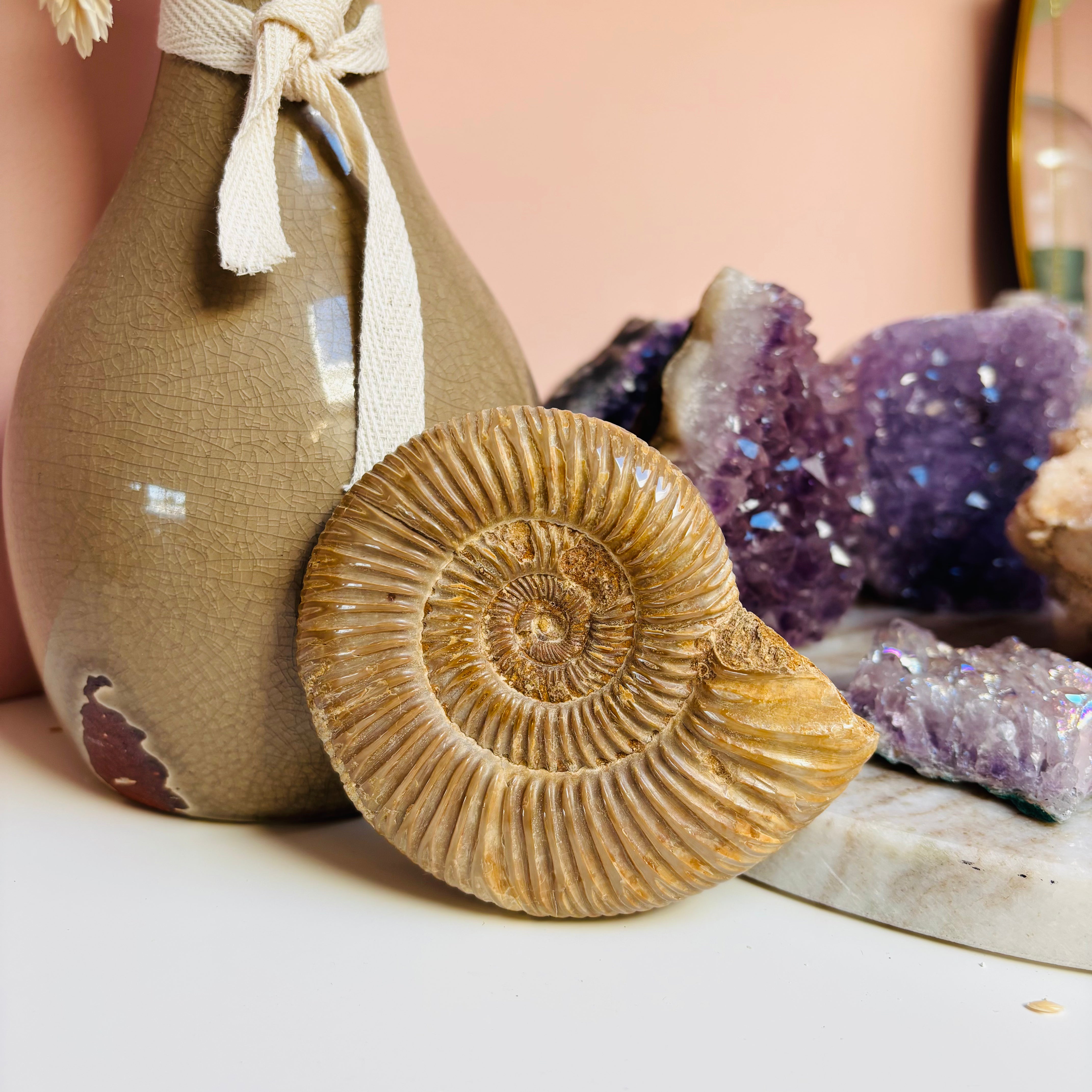 Large Ammonite Fossil - Authentic Natural Ammonite Specimen for Home Decor, Meditation & Healing Crystals | Perfect for Geology Collectors, Spiritual Gifts & Interior Design