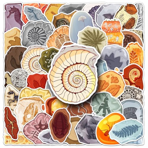 Fossil