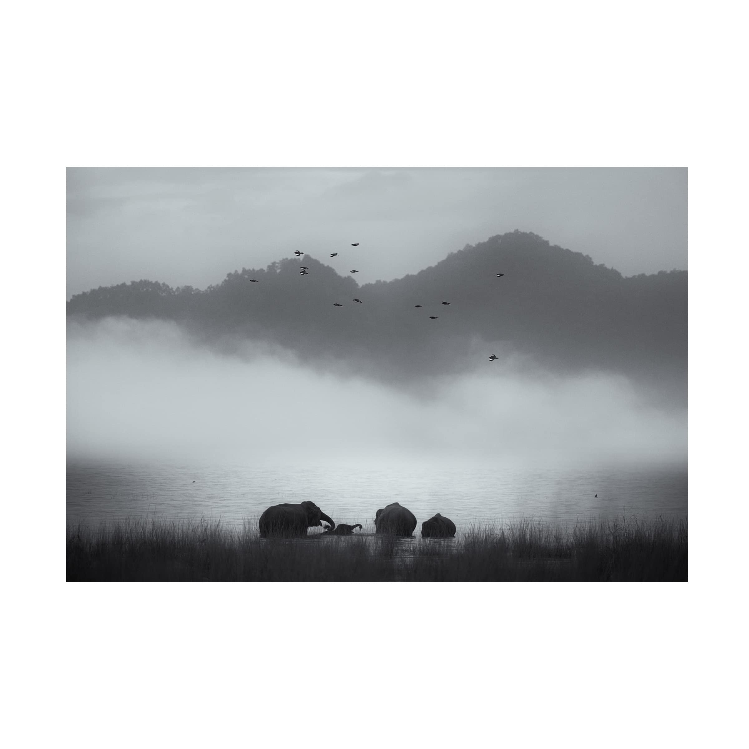 Trademark Fine Art 'Misty Moments' Canvas Wall Art by Swapnil - Modern Landscape Painting for Living Room, Bedroom & Office Decor