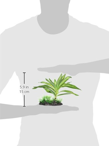 Fluval Giant Sagittaria Aquarium Plant - Large Artificial Aquatic Plant for Fish Tank Decoration | Perfect for Freshwater Aquascaping, Shrimp Tanks & Tropical Fish Habitats