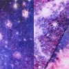 Galaxy #13