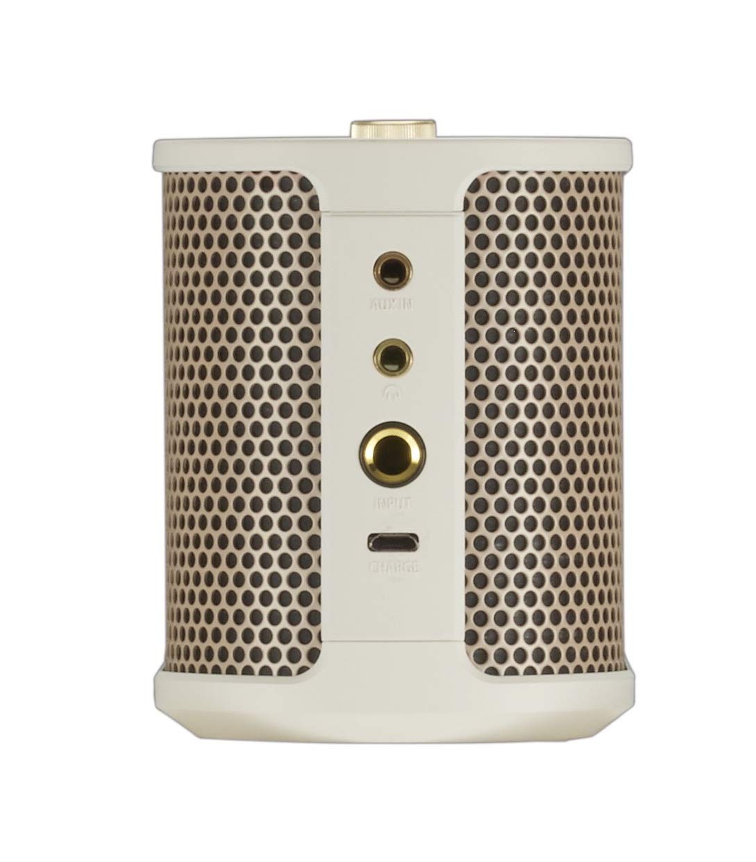 Roland BTM-1 Portable Bluetooth Speaker with Guitar Input - Perfect for Musicians, Outdoor Performances & Home Practice