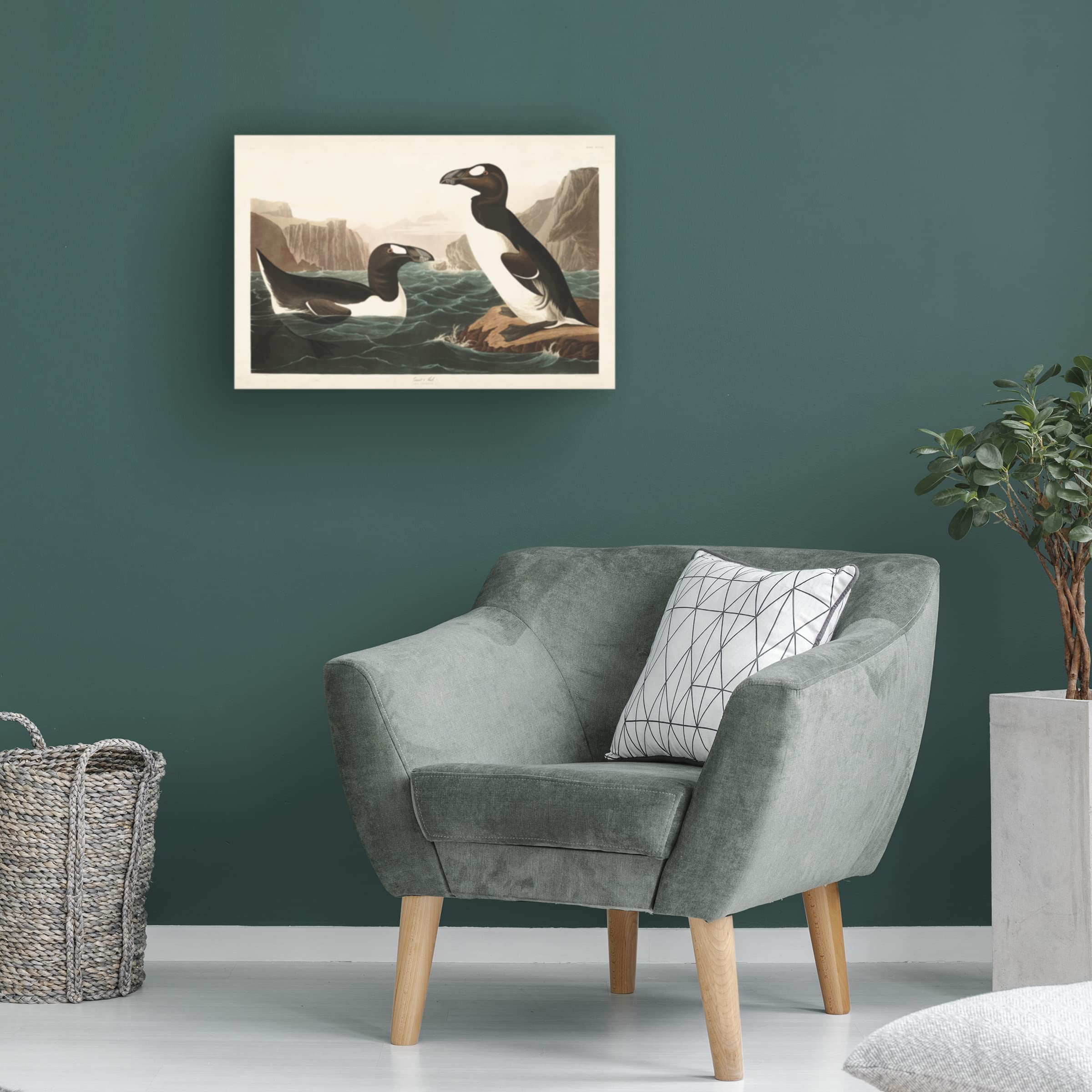 Trademark Fine Art 'Great Auk' Canvas Print by John James Audubon - 12x19 Inch Wildlife Bird Painting - Perfect for Living Room, Bedroom & Office Decor