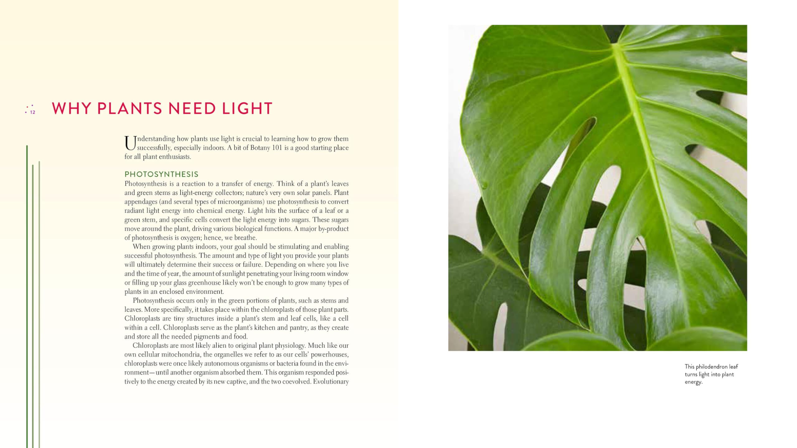 Gardening Under Lights: Complete Guide for Indoor Growers - Tips for Hydroponics, Herbs & Vegetables at Home