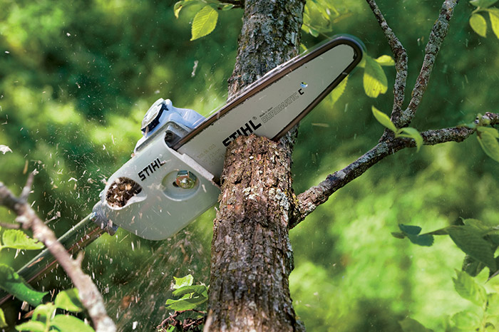 STIHL HT 56 C E Long Reach Pole Pruner with Easy2Start System - Lightweight Gas Powered Tree Trimmer for High Branches - Perfect for Landscaping, Yard Maintenance & Professional Arborist Work