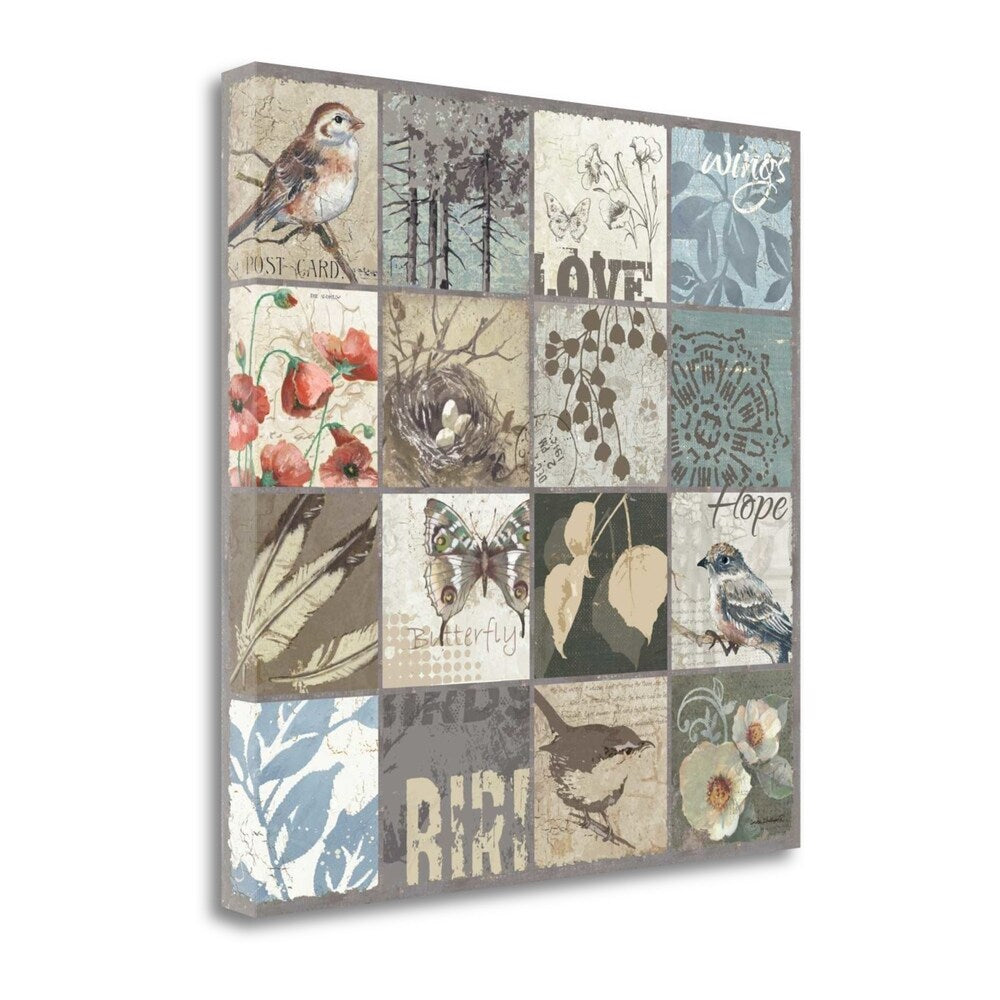 Anita Phillips Bird 16 Patch Fine Art Giclee Print - Gallery Wrapped Canvas Wall Art Ready to Hang - Perfect for Living Room, Bedroom & Office Decor