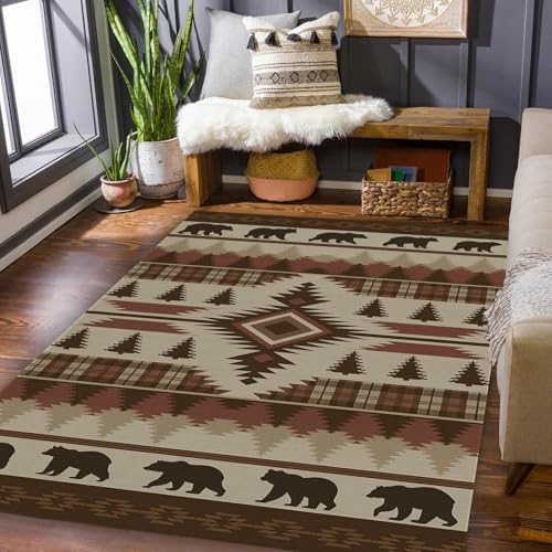 Rustic Area Rug 3