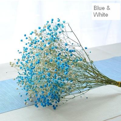 A bunch blue & white babys breath  (about 15 stems)