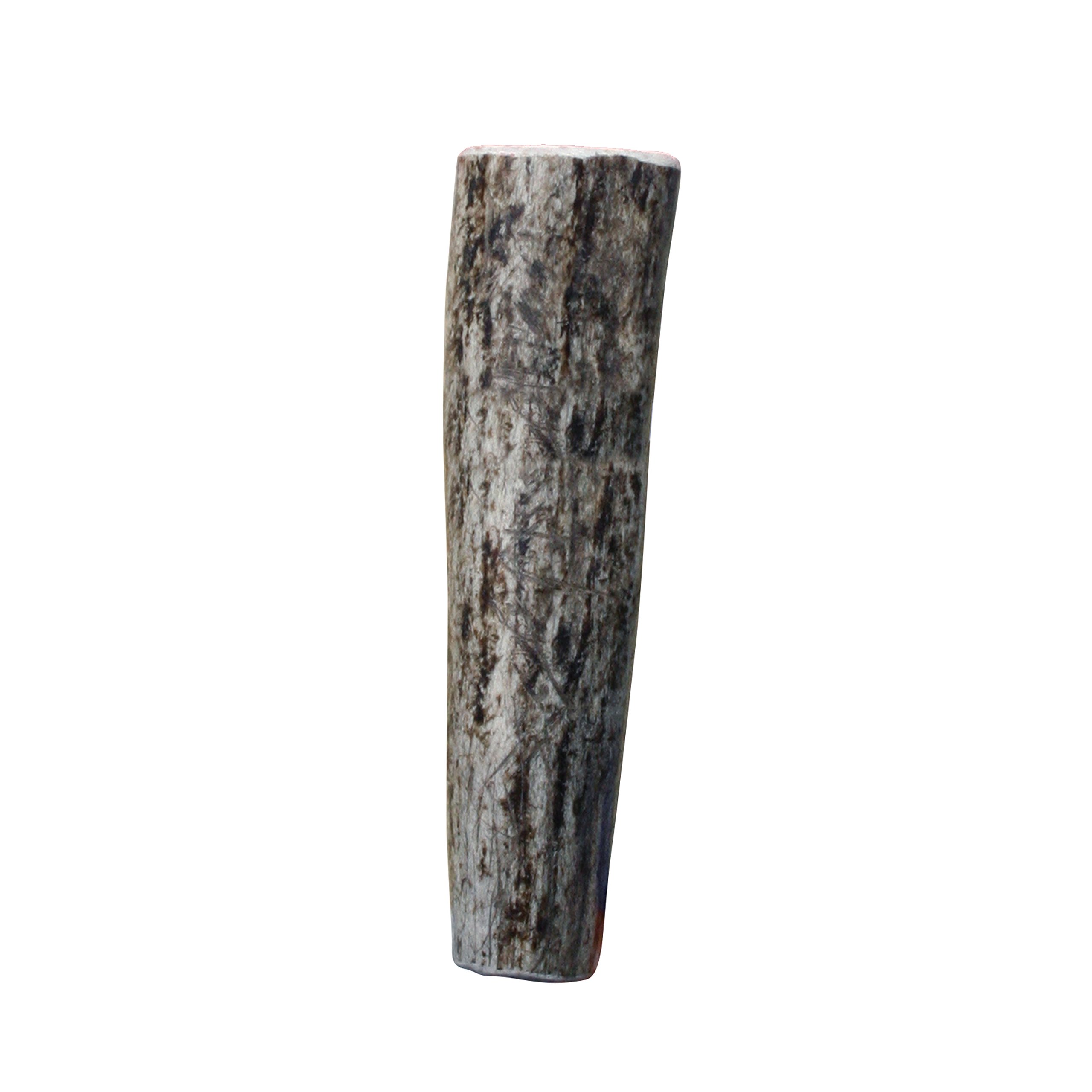 KONG Wild Antler Chew Toy for Small Dogs - Natural Shed Antler Dog Chew for Teething, Dental Health & Anxiety Relief - Perfect for Puppies & Small Breeds (X-Small)