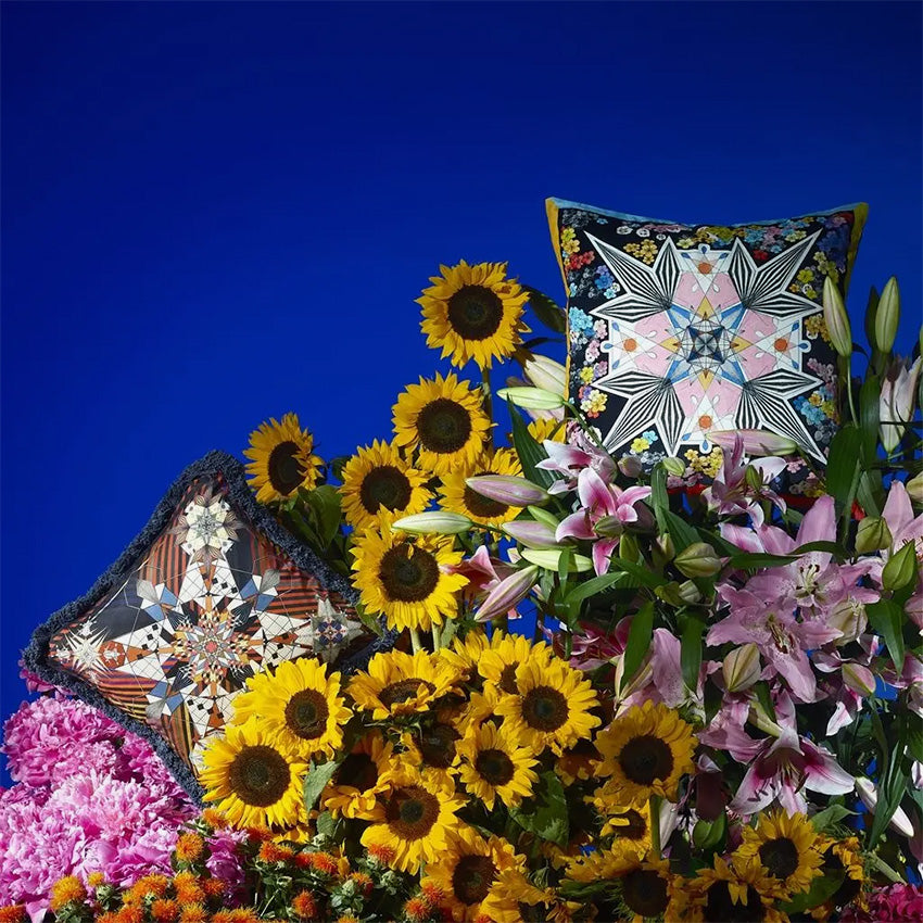 Christian Lacroix Do You Speak Lacroix? Decorative Throw Pillow Cover - Luxury Home Decor for Sofa, Bed & Living Room
