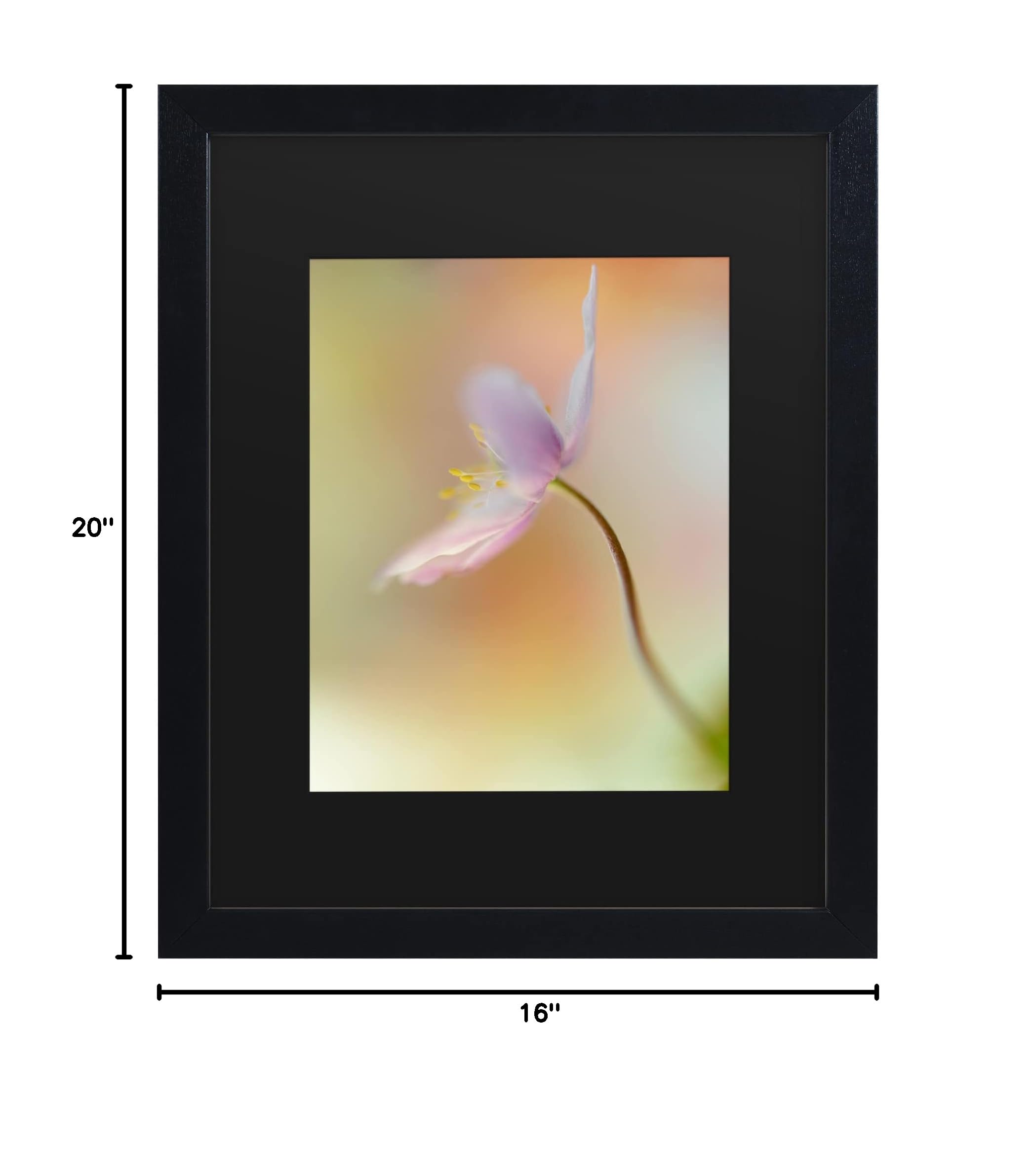 Heidi Westum 'Tender Spring Pink' Floral Canvas Wall Art Print - Modern Home Decor for Living Room, Bedroom & Office