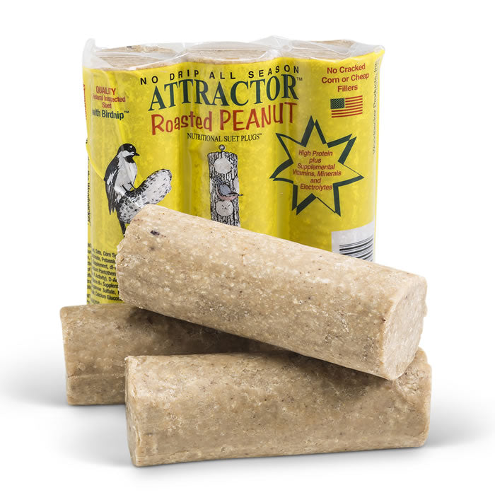 Attractor Roasted Peanut Suet Plugs - 12 Pack | High-Energy Bird Food for Wild Birds | Perfect for Backyard Bird Feeders & Winter Bird Feeding