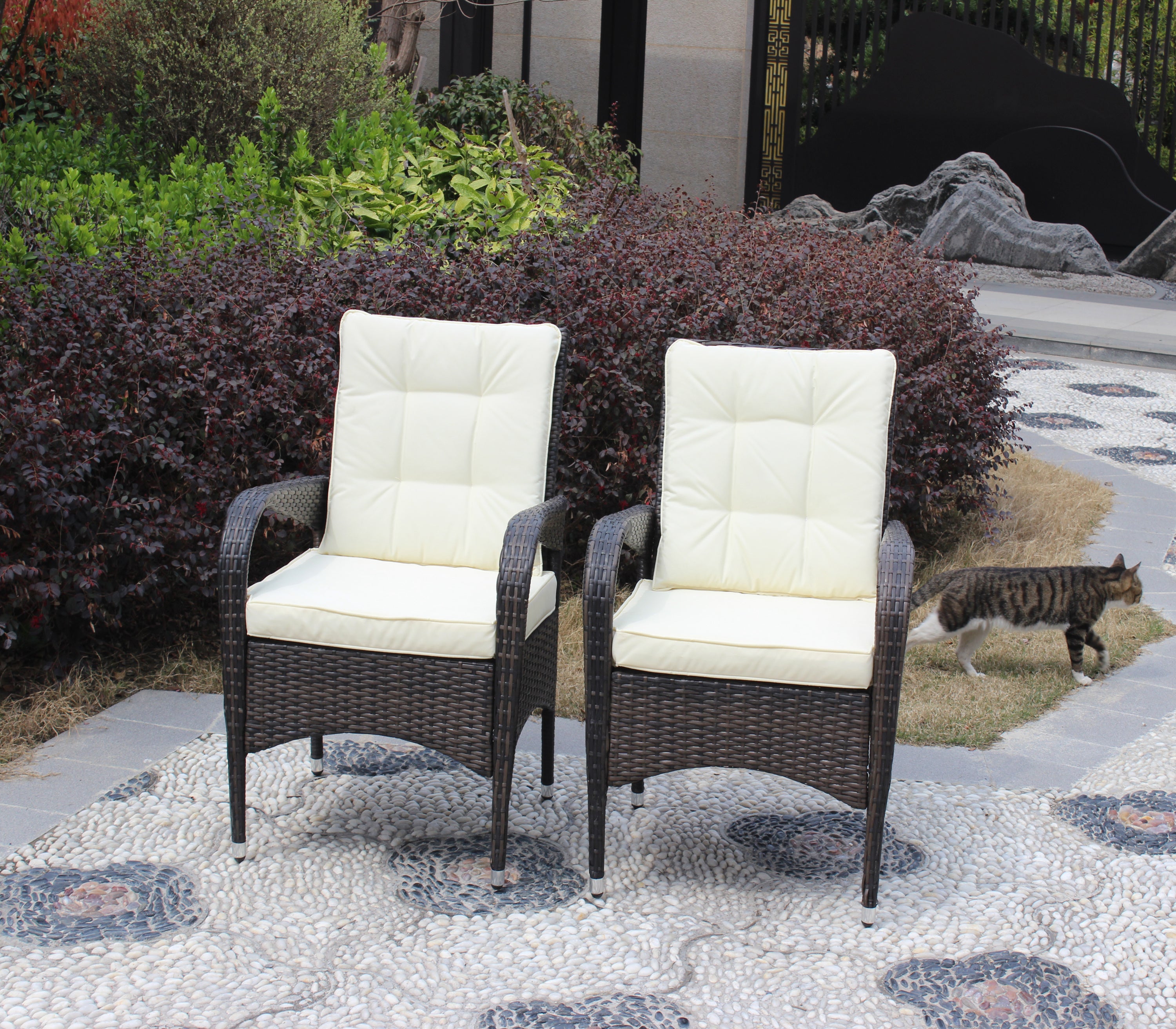 2 Piece Liberatore Dining Chairs with Beige Cushions - Modern Kitchen & Dining Room Furniture Set for Home, Restaurant, and Office Use