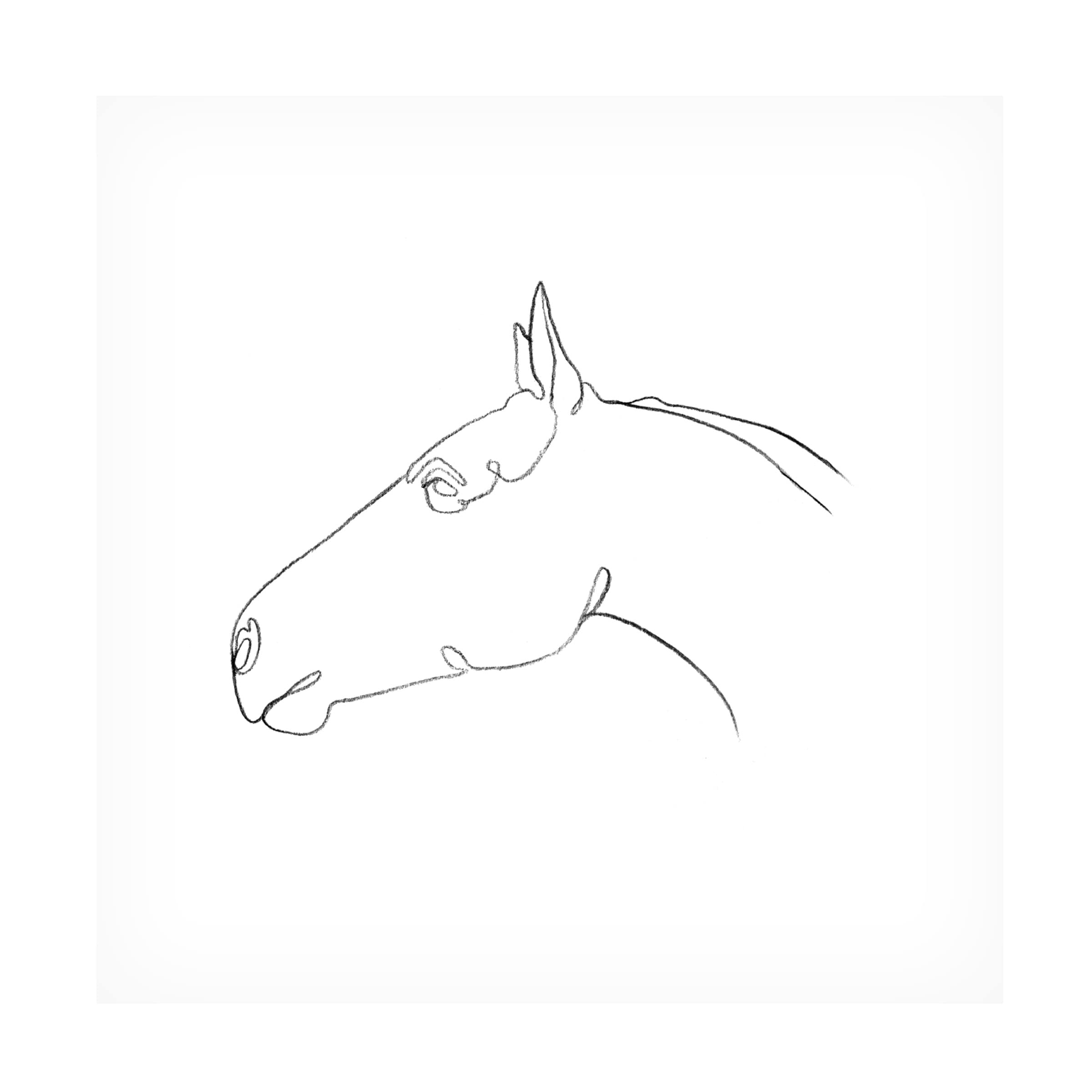 Emma Scarvey 'Equine Pencil Contour I' Canvas Art Print - Handmade Horse Drawing Wall Decor for Living Room, Bedroom & Office