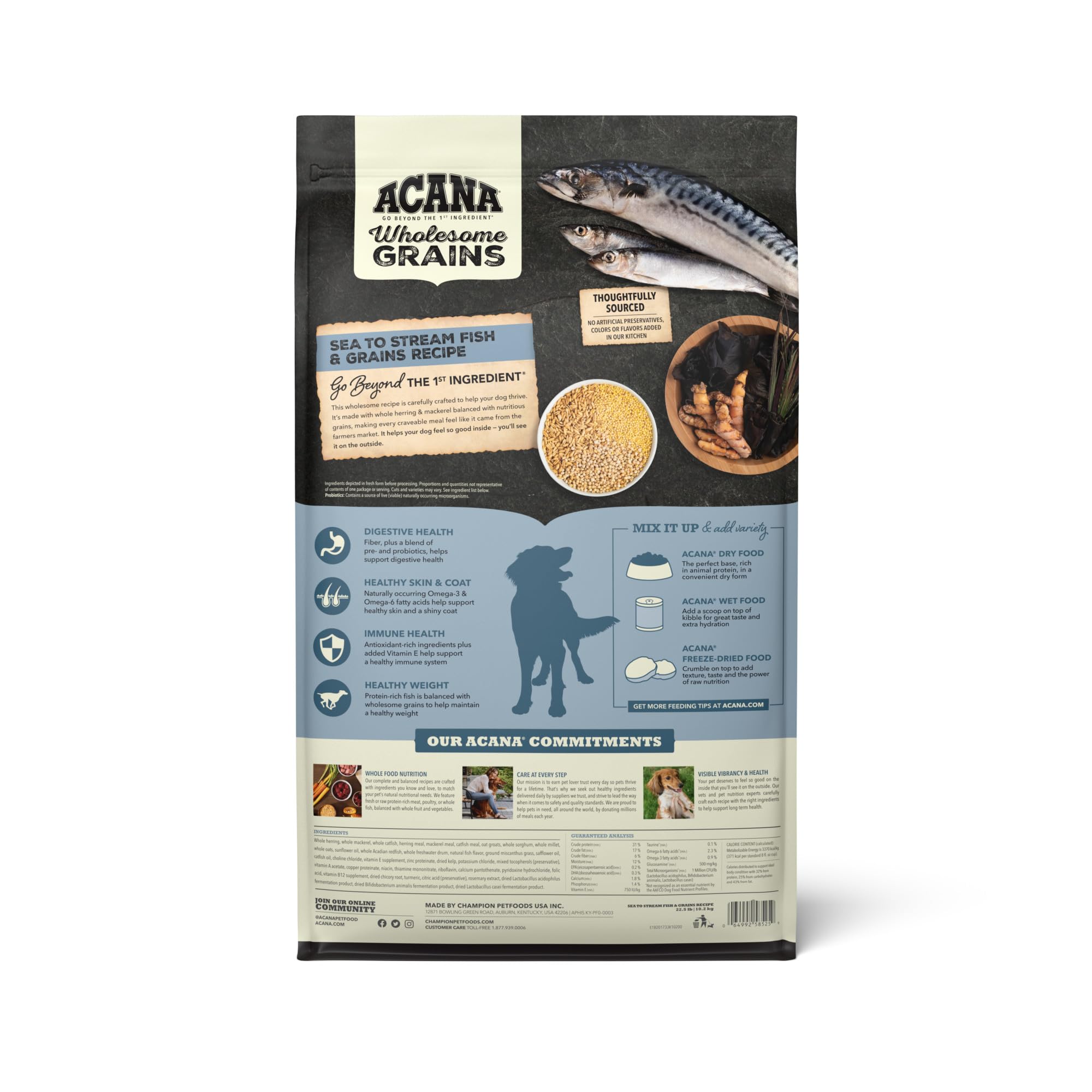 ACANA Wholesome Grains Dry Dog Food - Sea to Stream Recipe with Saltwater & Freshwater Fish & Grains - 22.5lb Bag - High Protein Grain-Inclusive Nutrition for Active Dogs - Perfect for Outdoor Adventures & Daily Feeding