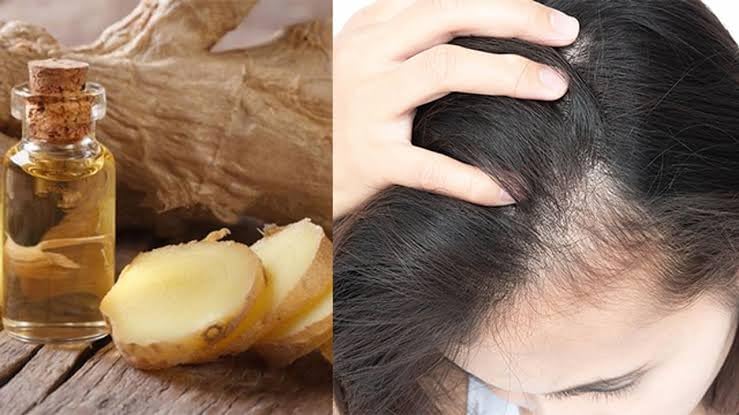 Organic Ginger Hair Oil for Hair Growth & Scalp Care - Promotes Thicker, Longer Hair - Natural Treatment for Dry, Damaged Hair - Perfect for Daily Use & Hair Care Routine