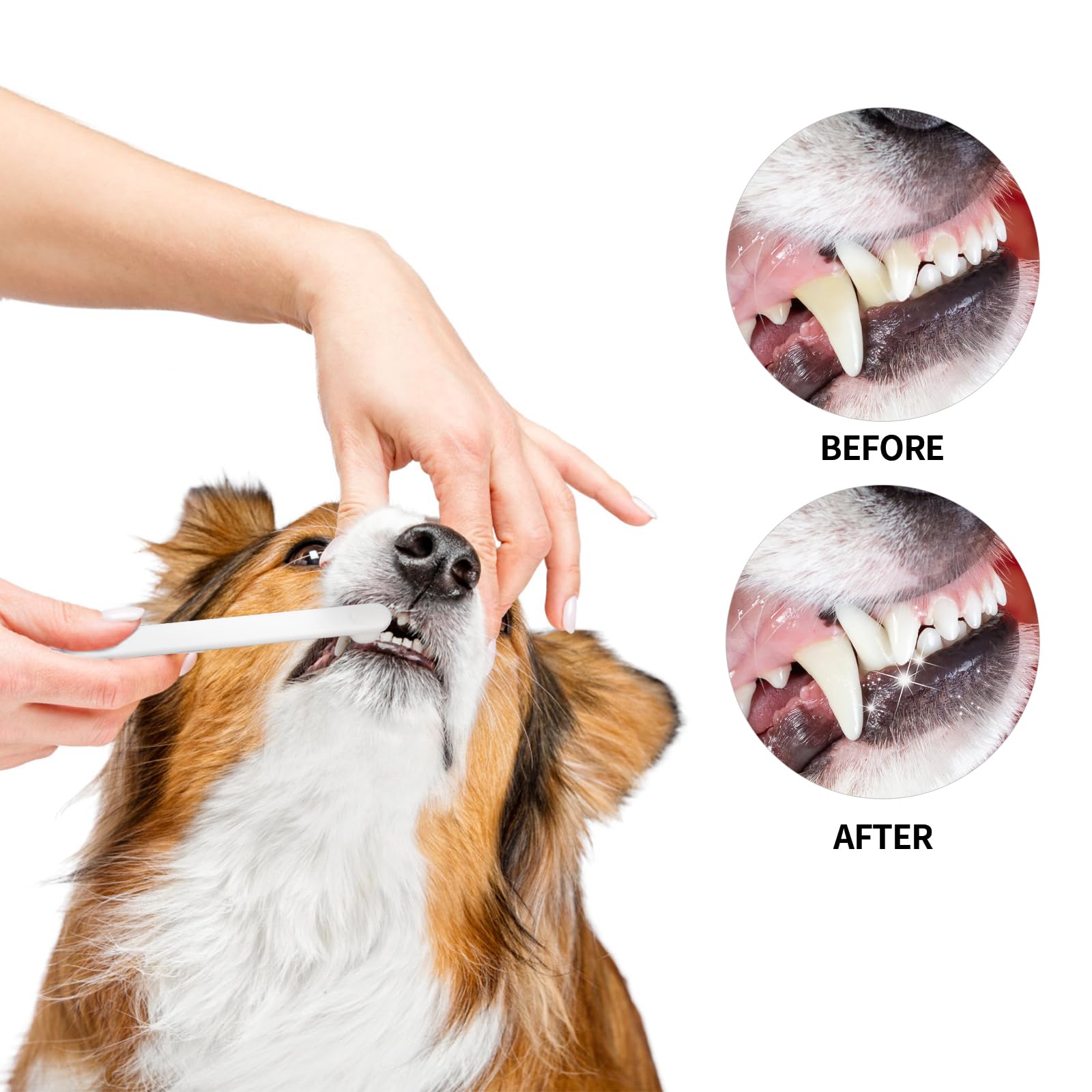 5-Pack Small Dog & Cat Toothbrush Set with Micro Nano Bristles - Gentle Pet Teeth Cleaning Kit for Puppies & Kittens - Includes Storage Box (White) - Perfect for Daily Oral Care & Dental Hygiene at Home