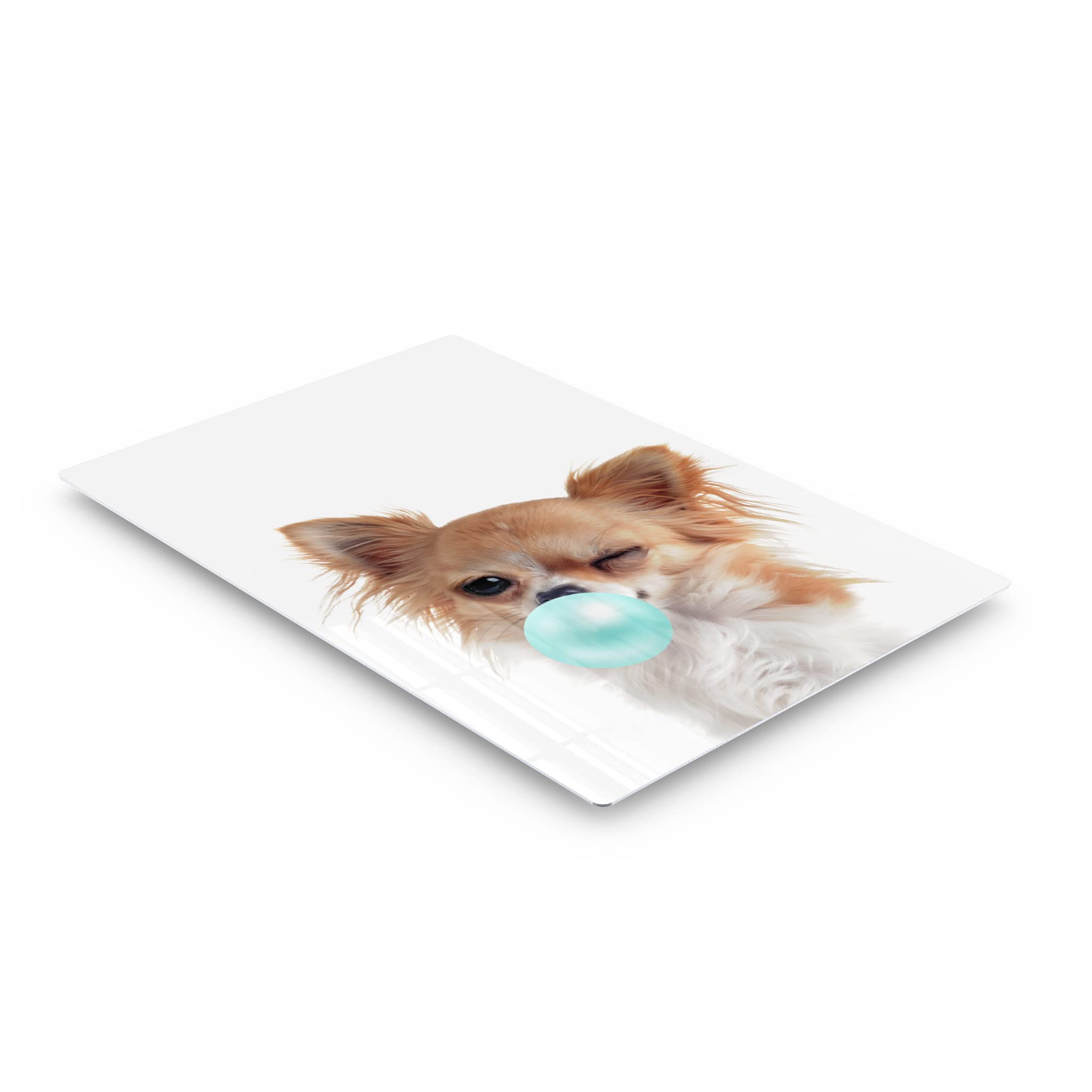Chihuahua Dog Chewing Teal Blue Bubble Gum - Metal Wall Art Print for Pet Lovers, Pop Art Decor for Office, Living Room, Bedroom & Nursery - 30x20 Inches - Perfect Gift for Dog Owners & Animal Art Enthusiasts
