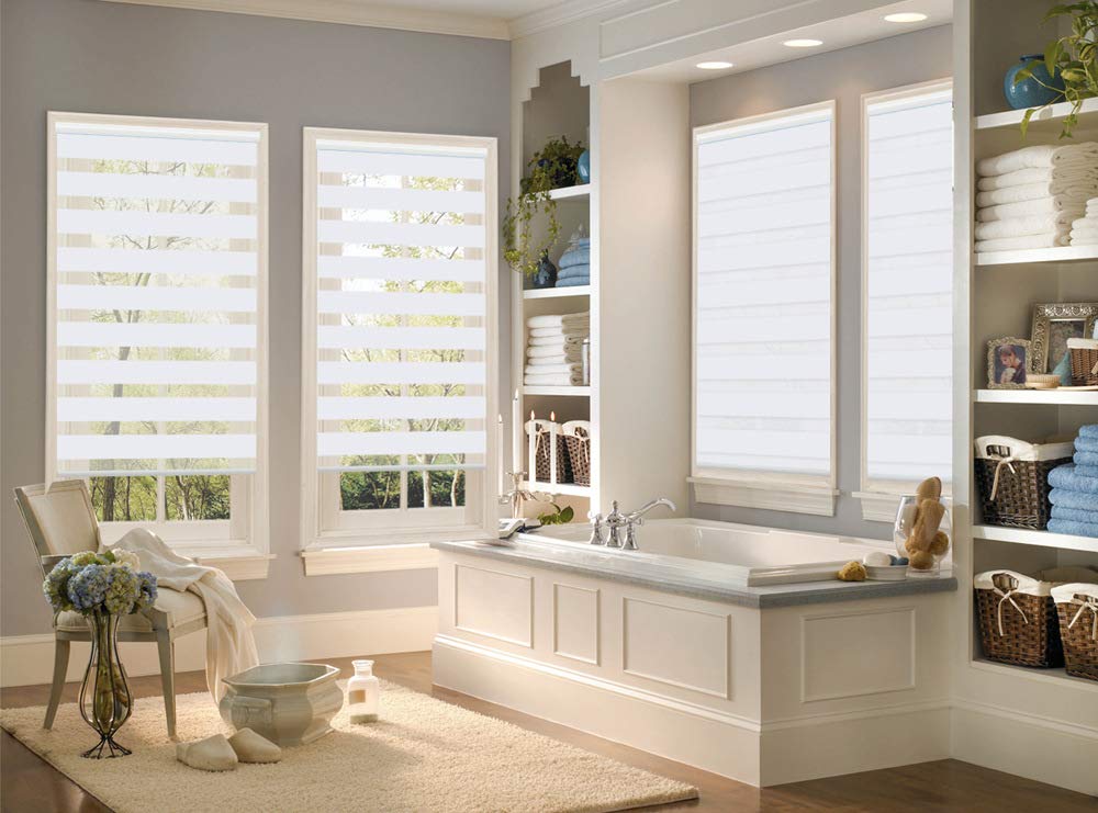 Premium Zebra Window Blinds 58