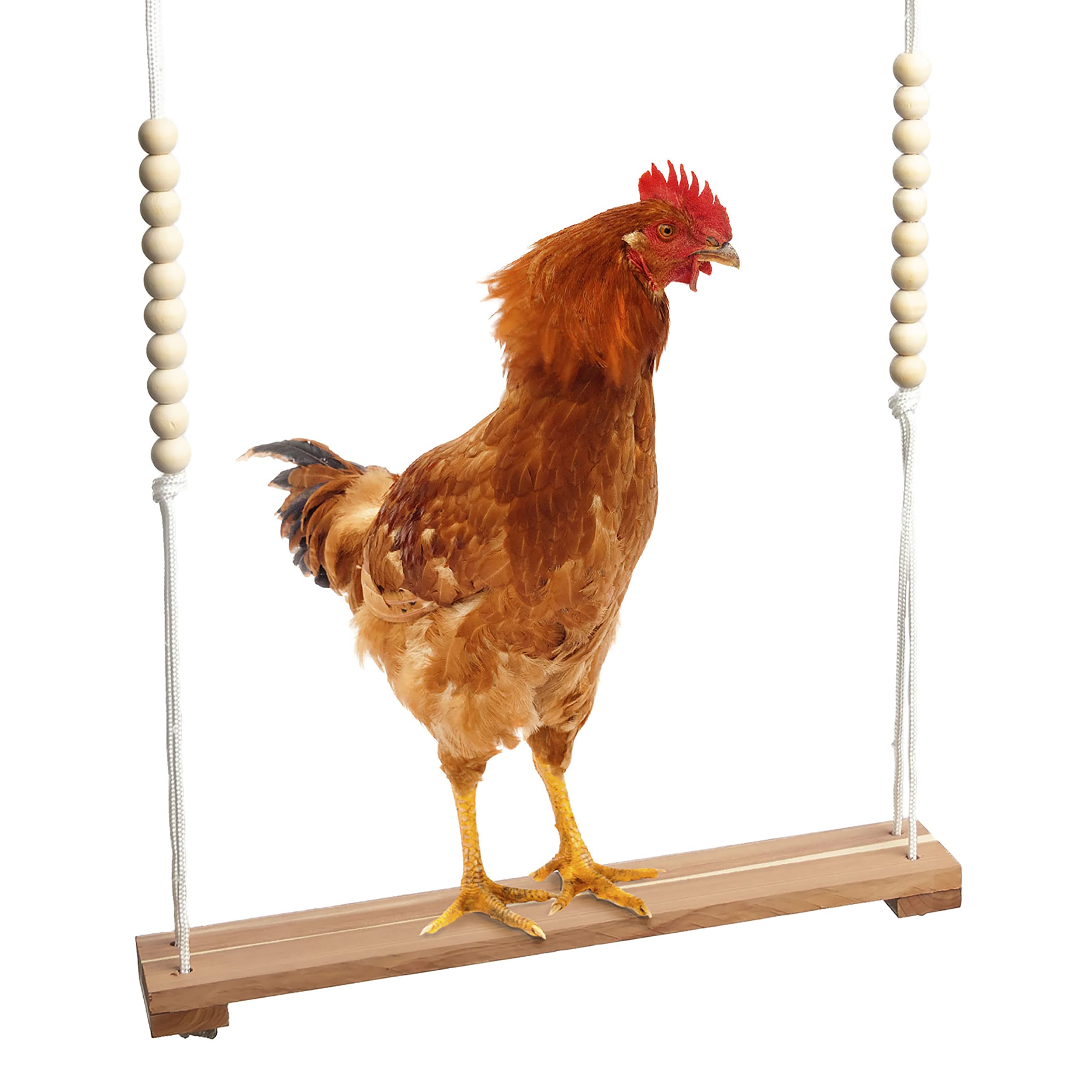 Natural Wooden Chicken Swing Toy for Coop - Handmade in USA, Large & Durable Poultry Accessory for Roosters, Hens & Chicks - Stress Relief & Entertainment for Birds - Perfect for Backyard Coops, Chicken Runs & Farm Animal Enrichment (CW&WC)