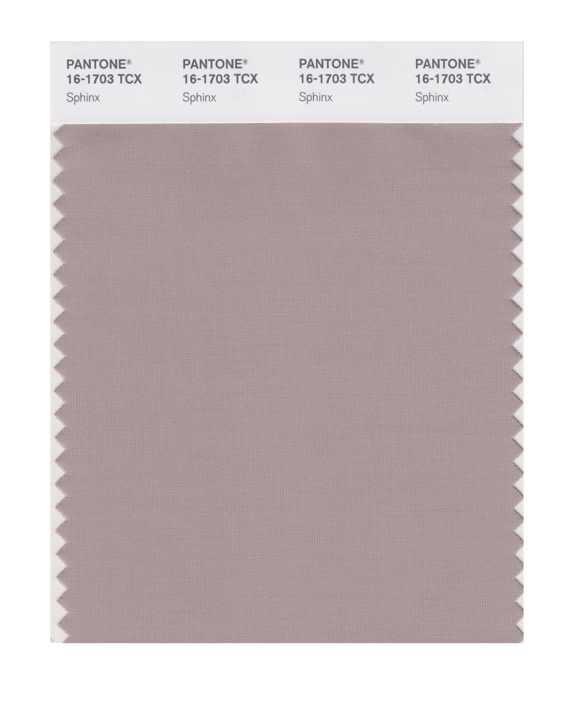 PANTONE Smart 16-1703X Color Swatch Card - Sphinx (TPX) | Professional Color Matching Tool for Designers & Artists | Perfect for Graphic Design, Fashion, and Interior Decoration Projects