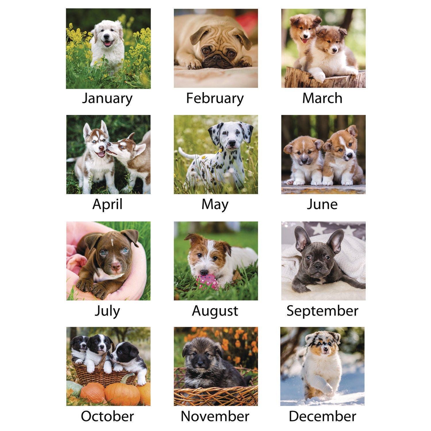 AT A GLANCE® 2025 Monthly Desk Calendar with Adorable Puppies Photography - 22 x 17 Inches, White Sheets & Clear Corners (January to December) - Perfect for Office, Home, or Gift Giving