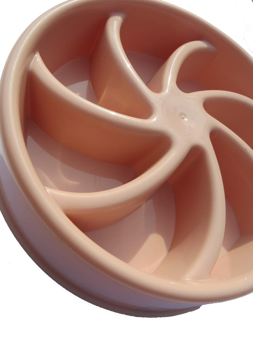 Slow Feeder Dog Bowl for Small Dogs - Non-Slip Pet Food Dish with Maze Design to Prevent Bloat & Improve Digestion - Perfect for Fast Eaters, Puppies, and Mealtime Training