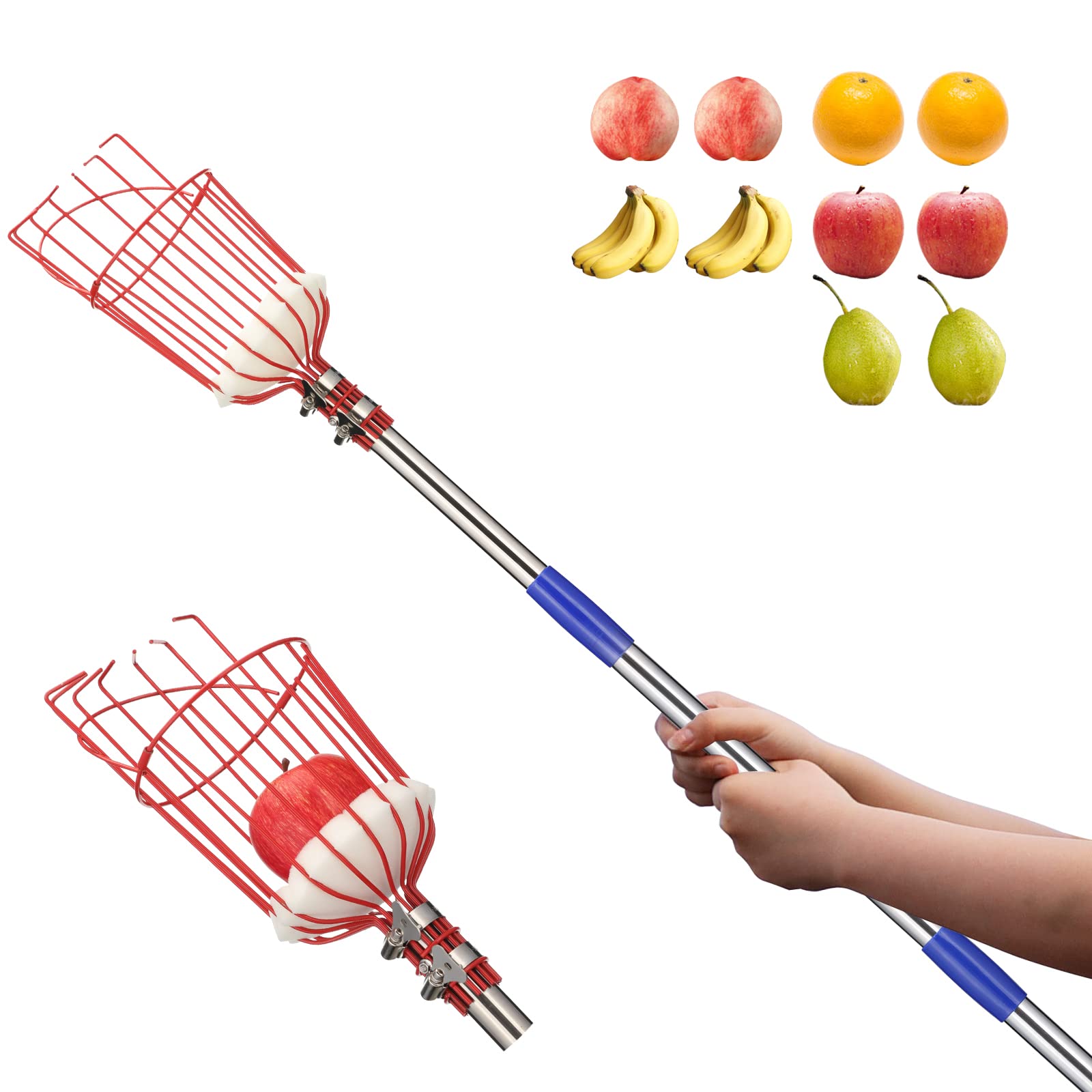 13FT Adjustable Fruit Picker Pole with Basket - Stainless Steel Harvesting Tool for Apples, Cherries, Berries, Oranges & More - Perfect for Home Orchards, Backyard Harvesting & Tall Tree Fruit Picking