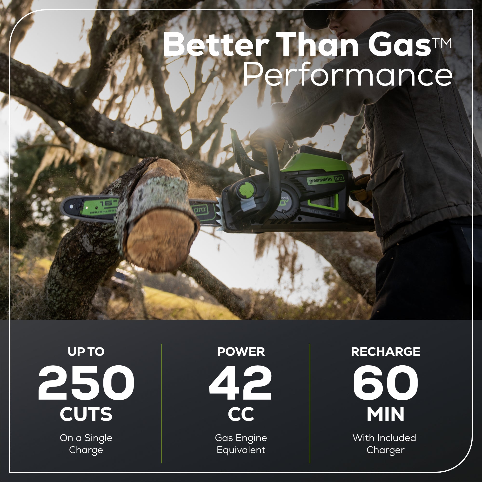 80V 16-Inch 2.0kW Cordless Battery Chainsaw with 4.0Ah Battery & Fast Charger - Powerful Electric Chainsaw for Tree Cutting, Wood Chopping, and Yard Maintenance