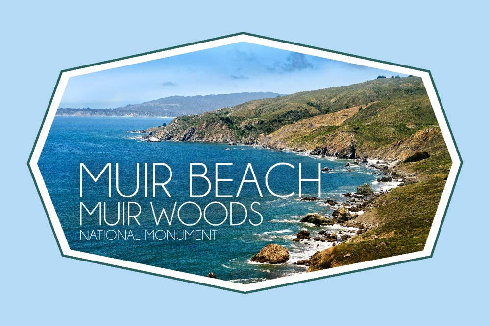 Muir Woods National Monument California Landscape Photo - 12x18 Gallery Quality Metal Art Print, Aluminum Wall Decor for Living Room, Office & Home