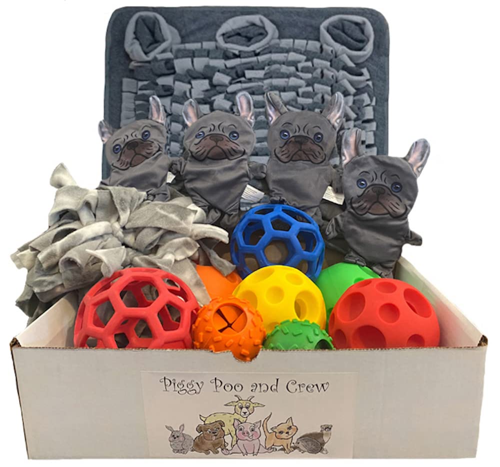 Premium Pig Box - 14-Piece Pet Gift Box for Dogs & Cats - Perfect for Birthdays, Holidays & Special Occasions