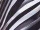 Black Abstract Stripe