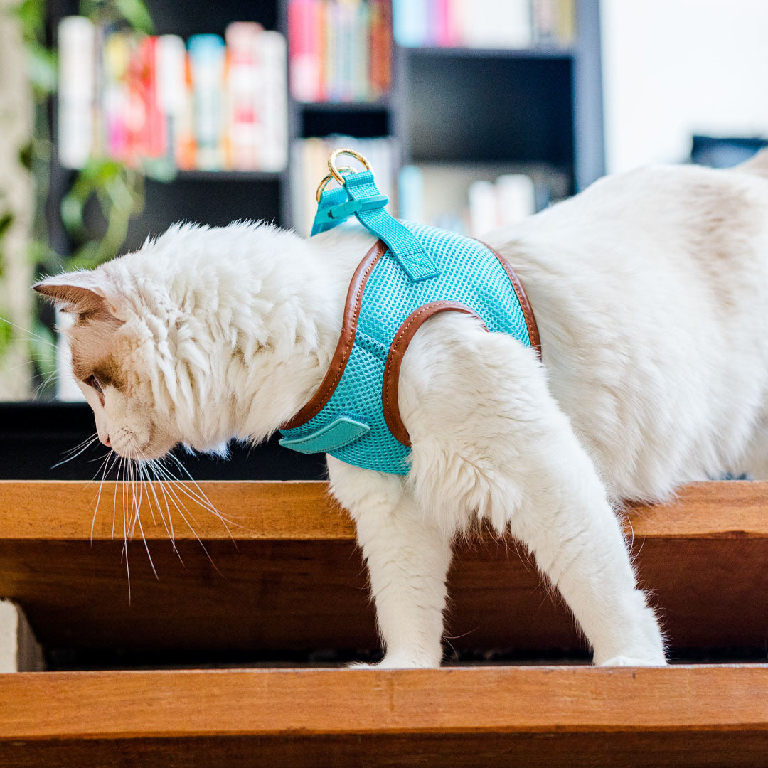 Sky Blue Cat Harness with Tan Trim - Adjustable & Escape-Proof Pet Vest for Safe Outdoor Adventures - Perfect for Walking, Hiking & Travel